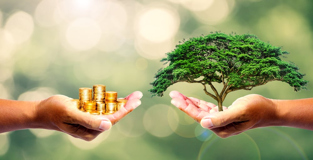 Health and Well Being, wealth, bonsai, tree, coins